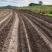Agtech - Precision agriculture software - Farm software Australia - Agriculture technology - Soil sampling app - Farming apps - Farm management app -Decipher - DecipherAg