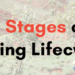 The 5 Stages of the Mining Lifecycle